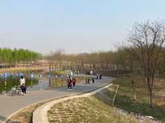 -东郊湿地公园