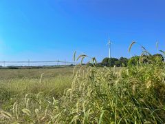 -莲花岛景区