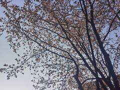-天鹅湖体育公园