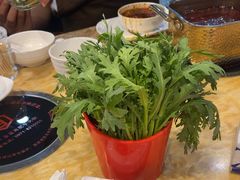 -清真军邺·金富苑肥牛(石坡街旗舰店)