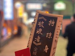 -武汉知音号