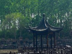 -合肥滨湖国家森林公园