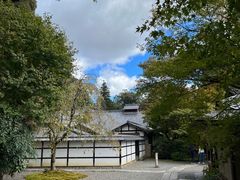 -西芳寺(苔寺)