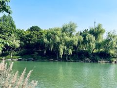 -中国湿地博物馆