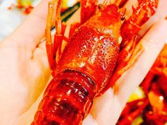 绝世霸王虾-霸王虾·麻辣小龙虾(清水河公园店)