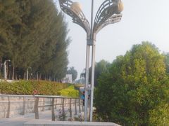 -宝安西湾红树林湿地公园