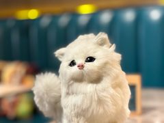 -黄晓猫剁椒大鱼头(海岸城店)