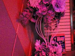 -萧邦音乐会所KTV(向西店)