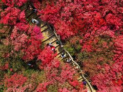 -木兰云雾山