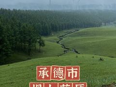 -丰宁坝上草原