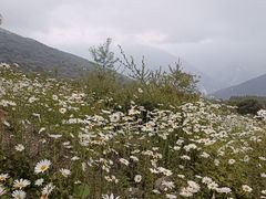 -太子岭滑雪场