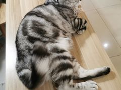 -平行世界·猫咖(首经贸店)