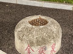 -金银湖国家城市湿地公园