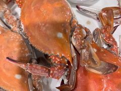 -海景苑海鲜大酒店(吕四店)