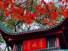 -岳麓山风景名胜区