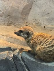 -Zoolung Zoolung动物主题公园(海信广场店)