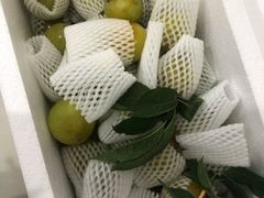 -呼吸森林·生态农庄农家乐私房菜