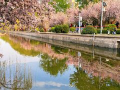 -元大都城垣遗址公园