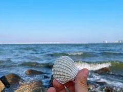 -集美鳌园景区