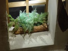 -耳艺采耳·足疗(东圃店)