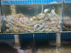 -87号烧烤海鲜·大排档(金沙滩店)