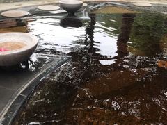 -碧水湾温泉