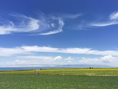 -青海湖国家重点风景名胜区