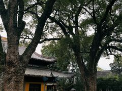 -阿育王寺