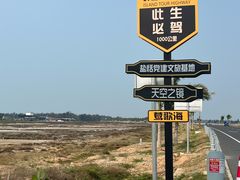 -莺歌海盐场