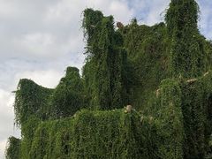 -上海月湖雕塑公园