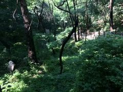 android_upload_pic-凤凰欢乐谷