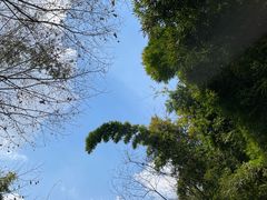 -望江楼公园