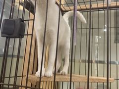 -iF摄影•全家福•证件照•形象照(南山店)