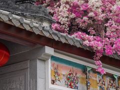 -深圳国际园林花卉博览园