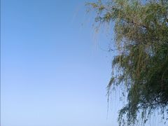 -南湖国家城市湿地公园