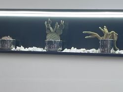-D.G造型·烫发染发接发