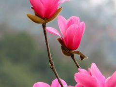 -白塘生态植物园