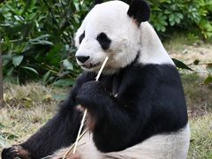 -柳州市动物园