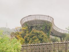 -福道