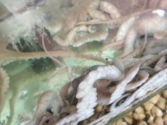 -四海鲜渔家菜(黄金海岸店)