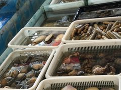 -莆鑫海鲜城(浏河店)