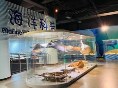 -泉城欧乐堡海洋极地世界