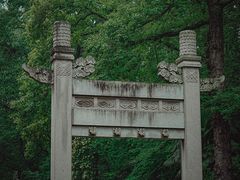 -灵谷景区