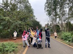 -东寨港红树林旅游区