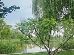 -西海子公园