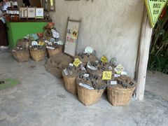 -大象粑粑造纸公园