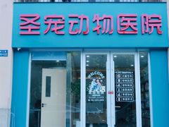 -圣宠动物医院·犬猫专科·影像中心·外科中心