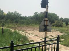 -西青郊野公园