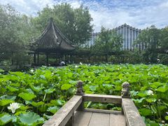 -上海醉白池公园