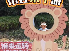 -合肥野生动物园